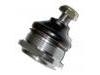 球头 Ball Joint:0662-99-354